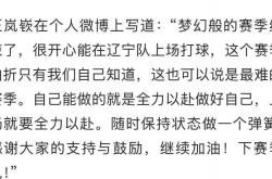 lol合区-包含匈牙利遗憾出局，梦碎四强之路的词条